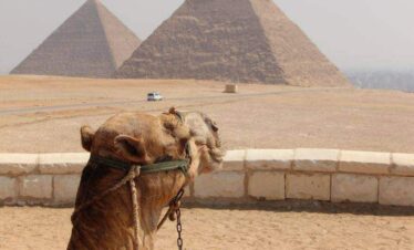 Giza Pyramids, Sphinx, and Egyptian Museum tour & Sailing in River Nile* from Sharm El Sheikh by Bus